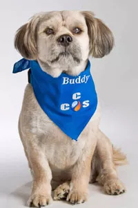 Carolina Commercial Systems - Buddy