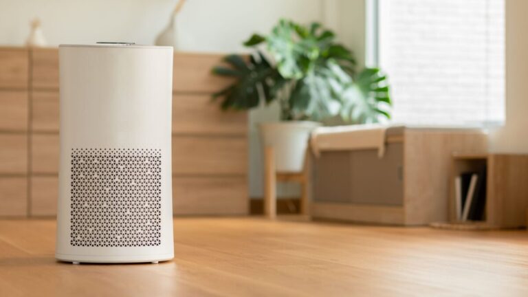 INDOOR AIR PURIFICATION SYSTEMS: WHICH ONE IS RIGHT FOR YOU?